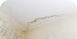 雨漏り、ベランダ・屋上のひび割れ